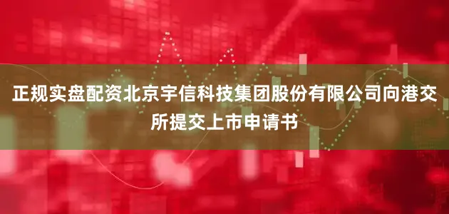 正规实盘配资北京宇信科技集团股份有限公司向港交所提交上市申请书