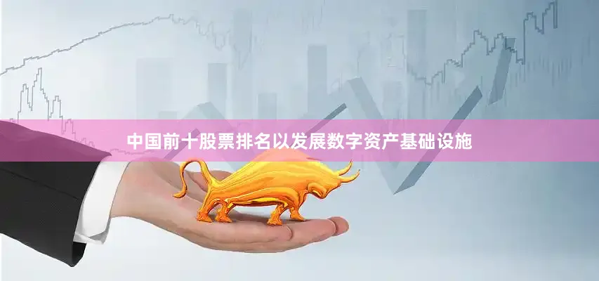 中国前十股票排名以发展数字资产基础设施