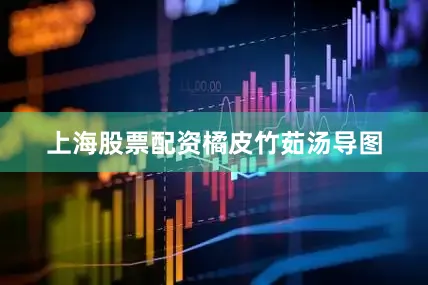 上海股票配资橘皮竹茹汤导图
