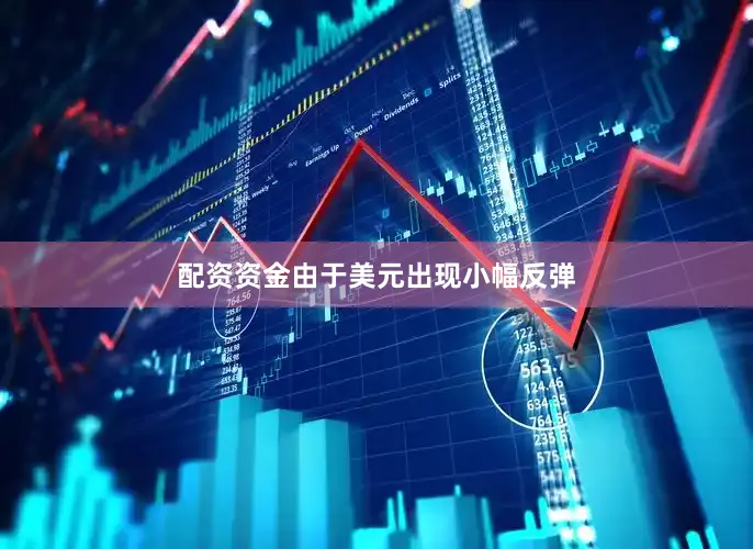 配资资金由于美元出现小幅反弹